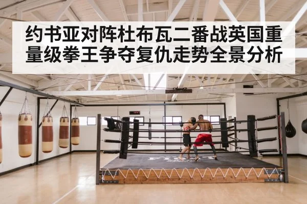 约书亚对阵杜布瓦二番战英国重量级拳王争夺复仇走势全景分析